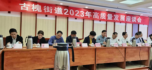 2023年古槐街道高質(zhì)量座談會(huì)